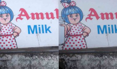 रुद्रपुर: अमूल ऑटो कंपोनेंट कंपनी बंद, दर्जनों श्रमिक बेरोजगार