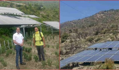 पहाड़ में शुरू हो गई है 'सौर उर्जा की खेती'