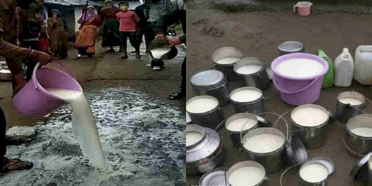 उत्तराखंड में इस गांव के ग्रामीणों ने सड़क पर बहा दिया दूध, वजह हैरान कर देगी!