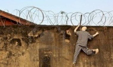 देहरादून:सुद्धोवाला की अस्थाई जेल से  कैदी फरार, तलाश में जुटी पुलिस