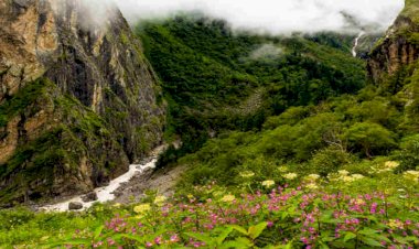 अक्टूबर अंत तक पर्यटकों के लिए खुली रहेगी विश्व प्रसिद्ध फूलों की घाटी