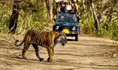 15 नवंबर से खुलेगा पर्यटकों के लिए राजाजी  नेशनल पार्क 