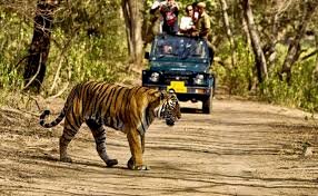 15 नवंबर से खुलेगा पर्यटकों के लिए राजाजी  नेशनल पार्क 