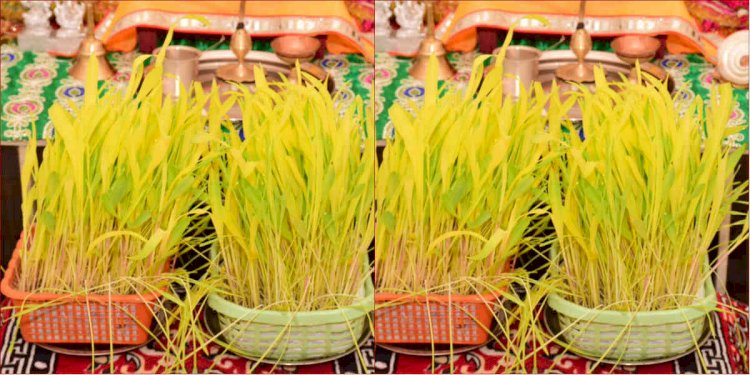 उत्तराखंड:  हरेला  पर्व सार्वजनिक अवकाश घोषित