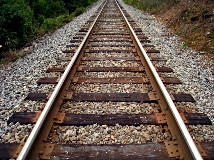 बिग ब्रेकिंग: हरिद्वार में चार लोगों की रेल की चपेट में आकर  दर्दनाक मौत