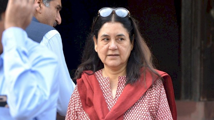 भेड़ एवं ऊन विकास बोर्ड में गंभीर धांधली का आरोप, मेनका गांधी ने सीएम त्रिवेन्द्र को लिखा पत्र