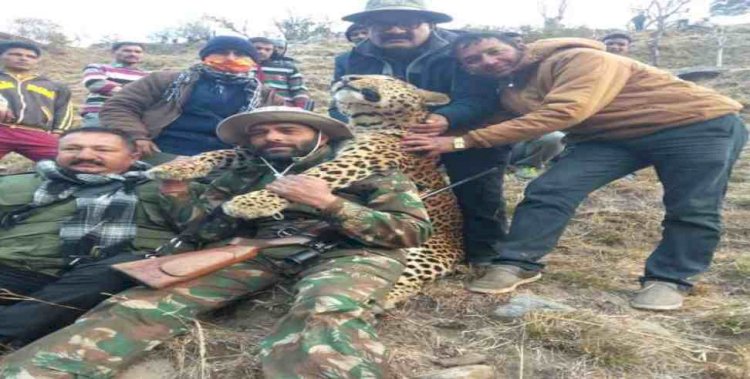 अल्मोड़ा: स्यालदे का  आदमखोर हो चुका गुलदार ढेर, ग्रामीणों ने ली राहत की सांस