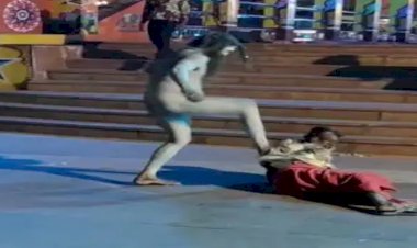 हरिद्ववार: नागा साधु का रौद्र रुप, बेरहमी से पीटा फक्कड़ को, वीडियो वायरल