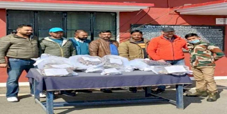 उत्तराखंड: गुलदार की 50 लाख  की खालों के साथ 20 साल का तस्कर गिरफ्तार