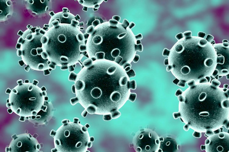 चीन की वुहान लैब में बना था कोरोना वायरस, शोध में खुलासा