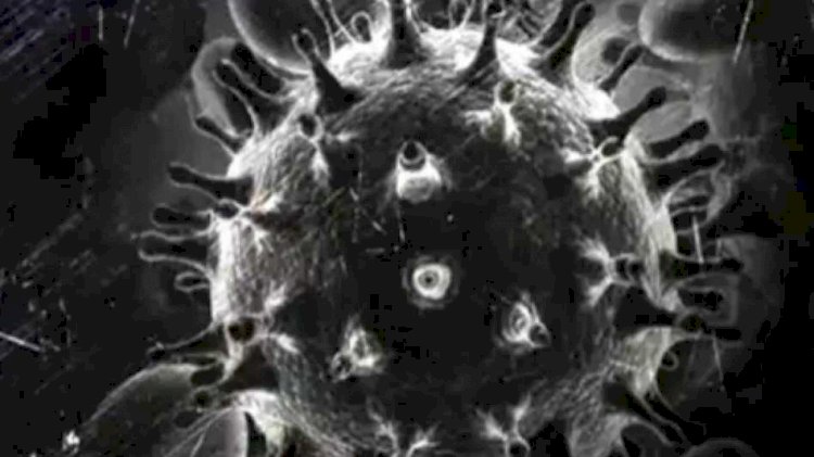 कोरोना के कहर के बीच उत्तराखंड में दी ब्लैक फंगस ने दस्तक, यहां मिले तीन केस