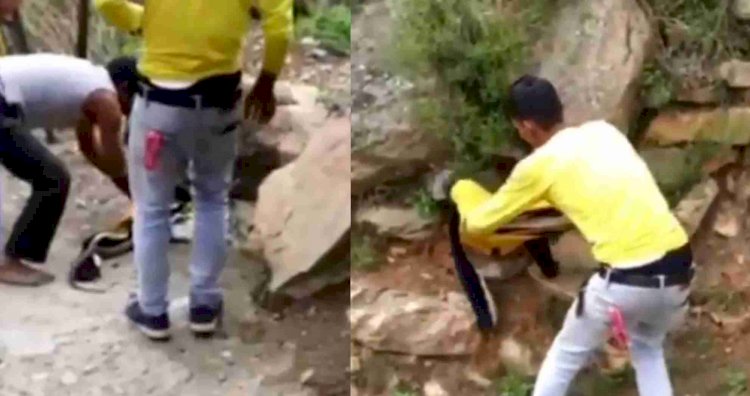 पौड़ी: 500 रुपये की शर्त पर कोबरा से भिड़े शराबी युवक, एक ने गंवाई जान