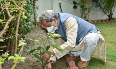 विश्व पर्यावरण दिवस के अवसर पर सीएम ने लगाया जामुन का पेड़