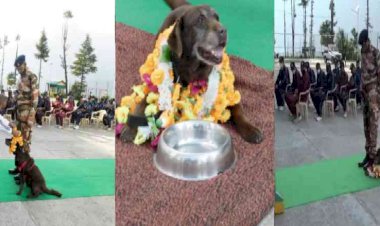 ITBP में 11 साल की सर्विस के बाद रिटायर हुई चोको, सम्मान के साथ दी गई सेवा से विदाई