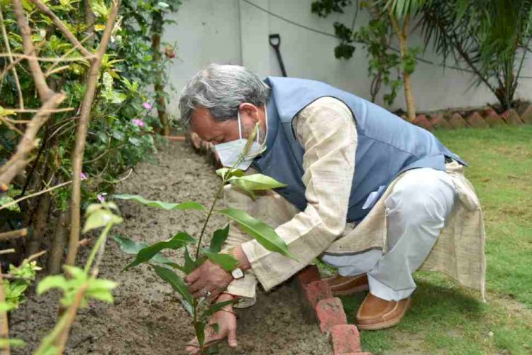 विश्व पर्यावरण दिवस के अवसर पर सीएम ने लगाया जामुन का पेड़