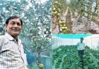 इस किसान ने 15-20 हजार सालाना से साढे़ तीन लाख सालाना ऐसे पहुंचाई अपनी कमाई