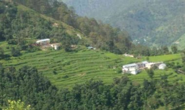 देवाल: कलपट्टा-ग्वीला मोटर रोड स्वीकृत, प्रमुख -पंचायत प्रतिनिधयों ने जताया सीएम, लोनिवि मंत्री का आभार