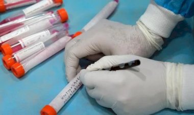 मसूरी घूमने के लिए बनाई पूरे परिवार की फर्जी RTPCR रिपोर्ट लेकिन धरे गए