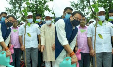 सीएम धामी ने किया सहस्त्रधारा हेलीपैड के निकट एम.डी.डी.ए सिटी पार्क में वृक्षारोपण