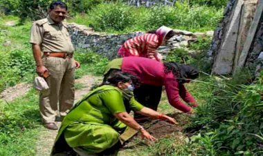 राजकीय प्राथमिक विद्यालय खाल में हरेला पर्व किया गया वृक्षारोपण