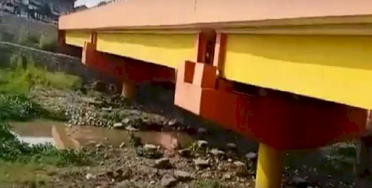 वायरल वीडियो: यहां पुल के नीचे मिला मगरमच्छ का घोंसला, देखने वालों का जुटा मजमा