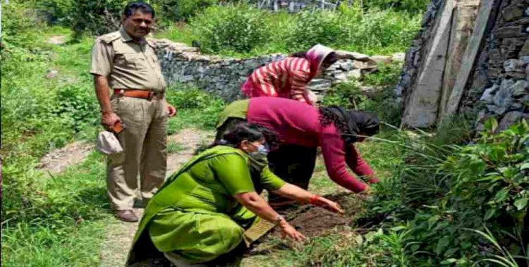 राजकीय प्राथमिक विद्यालय खाल में हरेला पर्व किया गया वृक्षारोपण