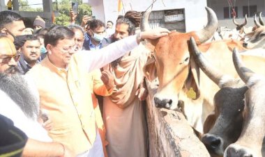 गोपाष्टमी महोत्सव में शामिल हुये सीएम धामी, करोड़ों की लागत वाली योजनाओं का किया लोकार्पण और शिलान्यास