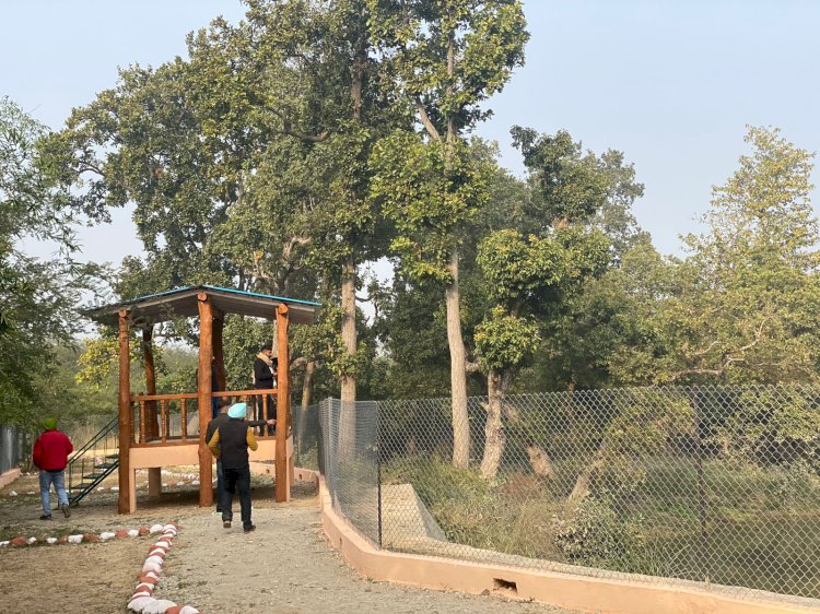 खटीमा को ऐतिहासिक सौगात देंगे सीएम धामी, सुरई इकोटूरिज्म जोन' में जंगल सफारी और 'ककरा क्रोकोडाइल ट्रेल' का करेंगे लोकार्पण