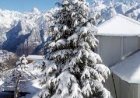 उत्तराखंड के अधिकांश पहाड़ी स्थानों पर बर्फबारी