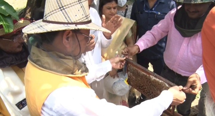 मुख्यमंत्री आवास में निकाला गया 25 किलो शहद