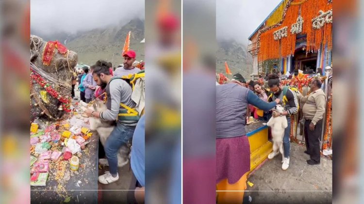 केदारनाथ धाम में डॉगी से छुआया नंदी की मूर्ति को, पुलिस कार्रवाई करेगी