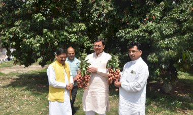 मुख्यमंत्री आवास परिसर में लगे पेड़ों का सीएम ने किया निरीक्षण