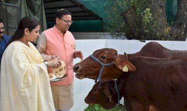 सीएम ने किया देवउठनी एकादशी के अवसर पर तुलसी पूजन