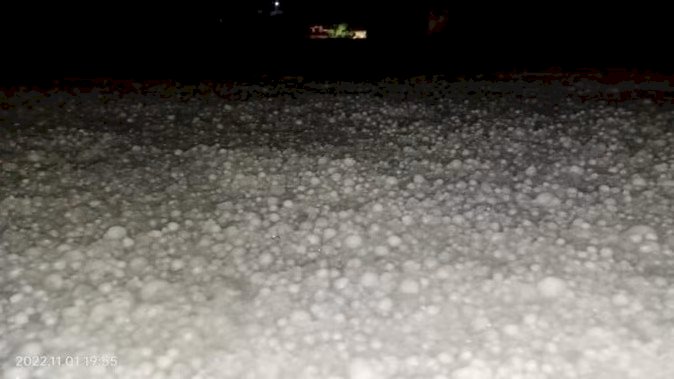 उत्तराखंड में यहां हुई भारी ओलाबारी, फलों की फसल को भारी नुकसान की आशंका