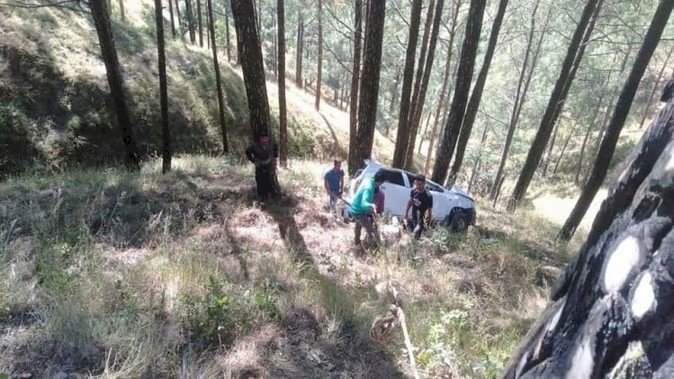 चीड़ के पेड़ों ने बचा ली पांच युवाओं की जान