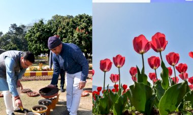 सीएम ऑफिस में लहलहाएगी ट्यूलिप की बगिया