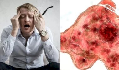 ब्रेन-ईटिंग अमीबा ने दक्षिण कोरियाई व्यक्ति को मार डाला!