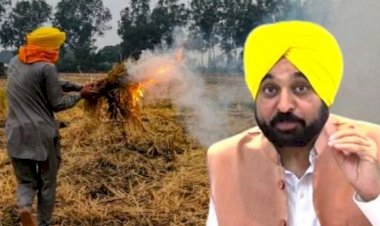 पर्यावरण संरक्षण के लिए मान सरकार के प्रयास, पराली जलाने के रुझान में कमी और सिंगल यूज प्लासिटक पर पाबंदी
