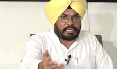 मान सरकार ने प्रवासी पंजाबियों के अलग-अलग मामलों को हल करने के लिए ठोस कदम उठाए: कुलदीप सिंह धालीवाल