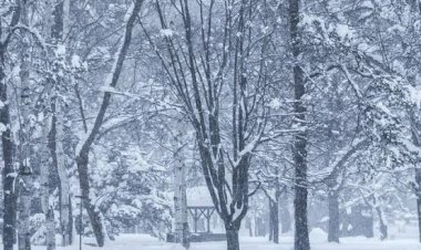 पूरे भारत में ठंड का कहर जारी  कई राज्यों में दृश्यता हुई शून्य