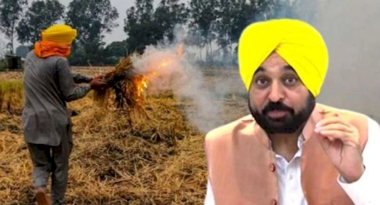 पर्यावरण संरक्षण के लिए मान सरकार के प्रयास, पराली जलाने के रुझान में कमी और सिंगल यूज प्लासिटक पर पाबंदी