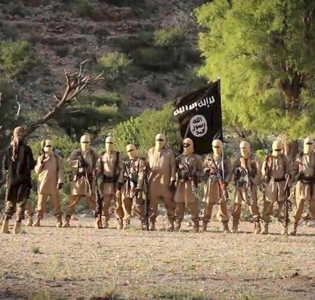 अमेरिकी सैनिकों ने उत्तरी सोमालिया में इस्लामिक स्टेट के कमांडर्स, 10 अन्य आतंकवादियों को मार गिराया