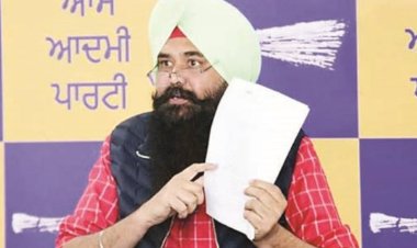 बिक्रम मजीठिया बन गए हैं 'बिक्रम मैं झूठिया'- मलविंदर कंग