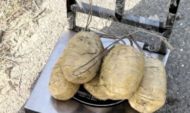 बीएसएफ ने तरनतारन के पास सीमा पर लगी बाड़ से 2.66 किलोग्राम मादक पदार्थ जब्त किया