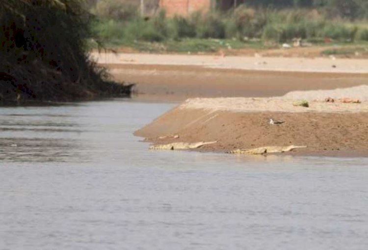 पंजाब सरकार का बड़ा फैसला, अब कोर नदी क्षेत्रों में कोई खनन नहीं होगा