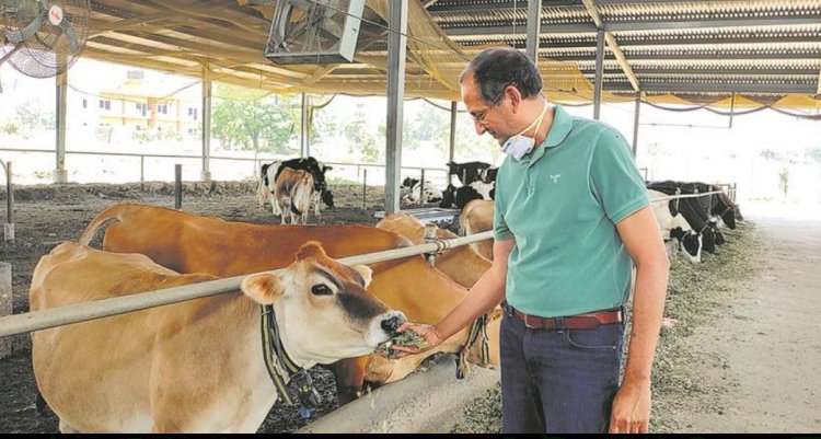 उद्यमिता कार्यक्रम के तहत डेयरी फार्मिंग में 6,000 से अधिक लोगों को प्रशिक्षित किया गया