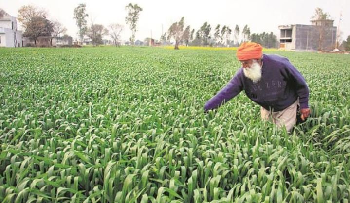 पंजाब बजट 2023 : नई कृषि नीति पर काम चल रहा है