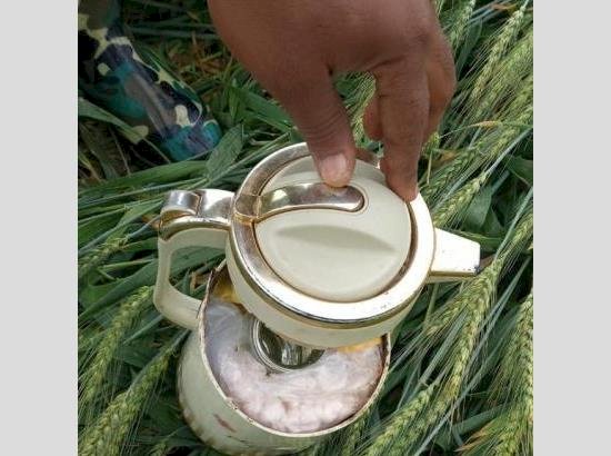 बीएसएफ ने खेत में पड़े चाय के कंटेनर से बरामद की हेरोइन