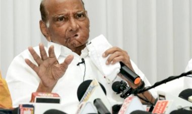 शरद पवार ने अजीत पवार के 'राजनीतिक भूकंप' की अफवाहों का खंडन किया