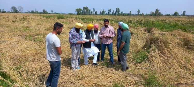 पंजाब में किसानों को प्रति एकड़ 15,000 रुपए मुआवजा मिलेगा